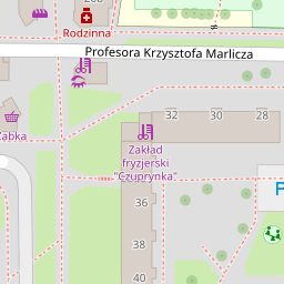 Robex Robert Rudnicki Szczecin Usługi Budowlane Pktpl