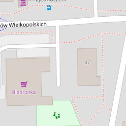 Rex Psi Salon Strzyżenie Psów Szkolenia Groomskie Bydgoszcz