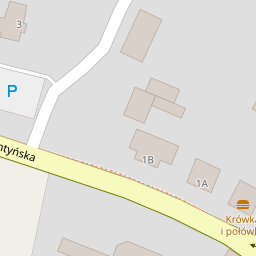 Paluch Edyta Zakład Fryzjerski Nowa Słupia Salony Fryzjerskie
